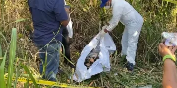 Encuentran cadáver presumiblemente de taxista desaparecido