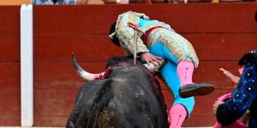 Torero sufre una grave herida que lo deja en estado crítico
