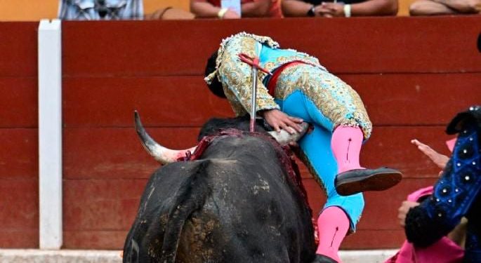 Torero sufre una grave herida que lo deja en estado crítico