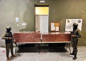 Ejército decomisa 1,021 cajas de cigarrillos que eran transportados en mulos en Independencia