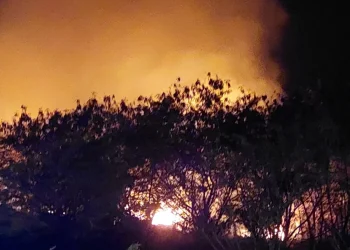 Incendio en San Pedro habría sido causado por calor y vidrios en la zona, informan autoridades