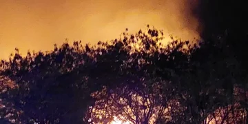 Incendio en San Pedro habría sido causado por calor y vidrios en la zona, informan autoridades