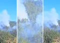 Bomberos forestales combaten incendio en Constanza; densa humareda afecta a residentes