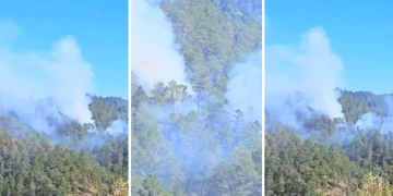 Bomberos forestales combaten incendio en Constanza; densa humareda afecta a residentes