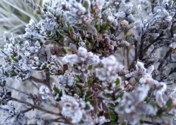 Así amaneció Valle Nuevo: Con temperaturas bajo cero