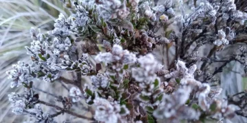 Así amaneció Valle Nuevo: Con temperaturas bajo cero