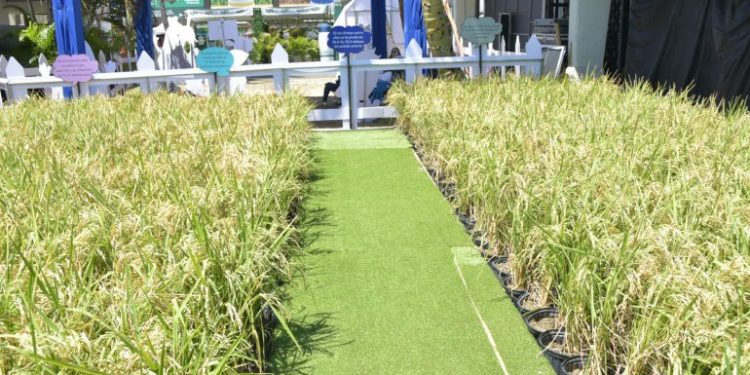 Agricultura sorprende con muestras de innovación tecnológica que aplica en el campo