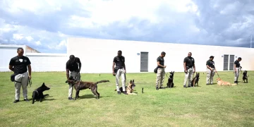 AERODOM dona caninos y equipos tecnológicos al CESAC para potenciar la seguridad aeroportuaria