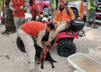 Defensa Civil integra Unidad Canina (K-9) a la búsqueda de joven india desaparecida en Punta Cana