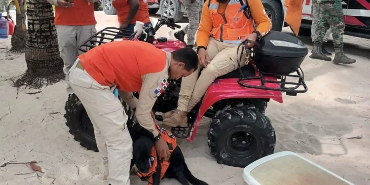 Defensa Civil integra Unidad Canina (K-9) a la búsqueda de joven india desaparecida en Punta Cana
