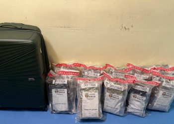 Incautan 32 paquetes de marihuana en aeropuerto Gregorio Luperón; arrestan extranjero