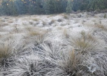 Valle Nuevo podría registrar su última helada de la temporada