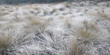 Valle Nuevo podría registrar su última helada de la temporada