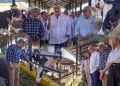 Abinader y ministro Agricultura visitan el Centro Genético Ysura en D1 Ganadero en Azúa