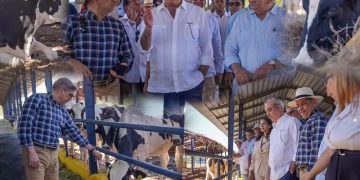 Abinader y ministro Agricultura visitan el Centro Genético Ysura en D1 Ganadero en Azúa