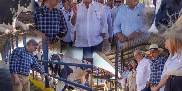 Abinader y ministro Agricultura visitan el Centro Genético Ysura en D1 Ganadero en Azúa