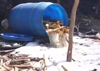 Desmantelan fábrica clandestina de alcohol e incauta más de 13,000 litros en Barahona