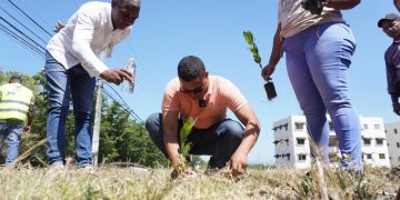 Ayuntamiento de Pantoja planta 250 árboles en el Día Internacional de los Bosques