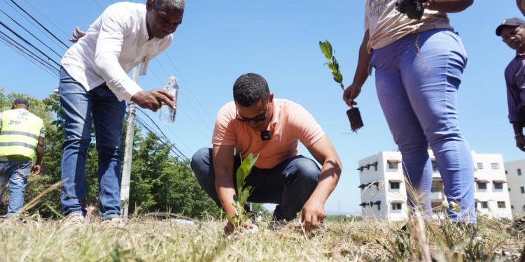 Ayuntamiento de Pantoja planta 250 árboles en el Día Internacional de los Bosques