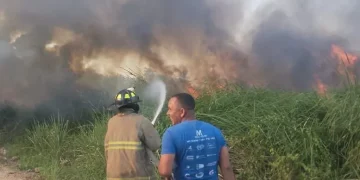 Se registra incendio forestal en la comunidad La Barbacoa de Las Terrenas