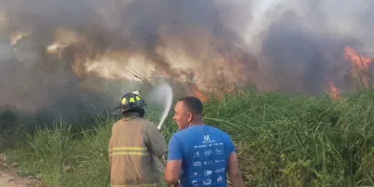 Se registra incendio forestal en la comunidad La Barbacoa de Las Terrenas