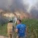 Se registra incendio forestal en la comunidad La Barbacoa de Las Terrenas