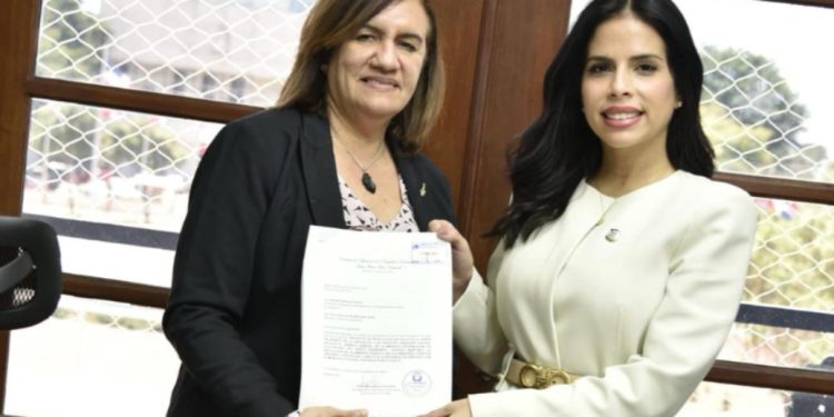 Diputada solicita instalación de alumbrado público en la carretera turística Gregorio Luperón