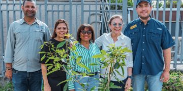 Carolina Mejía continúa Plan de Arbolado Urbano con plantación de árboles endémicos
