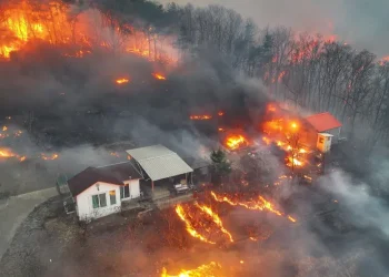 Al menos 18 muertos y un desaparecido por los incendios forestales en Corea del Sur