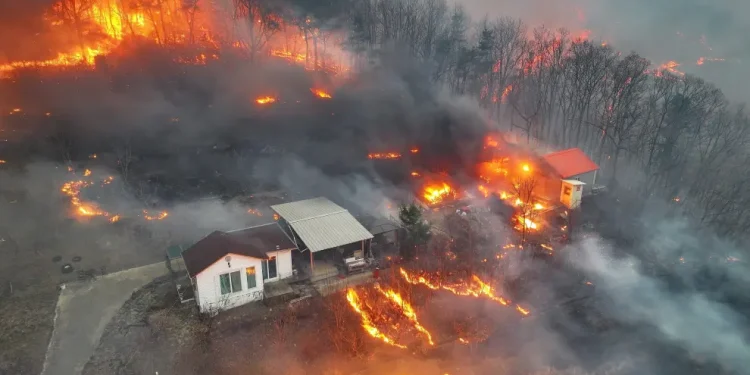 Al menos 18 muertos y un desaparecido por los incendios forestales en Corea del Sur