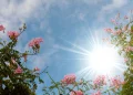 El Indomet prevé ambiente de buen tiempo debido a poca humedad