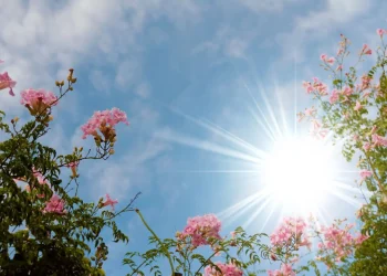 El Indomet prevé ambiente de buen tiempo debido a poca humedad 