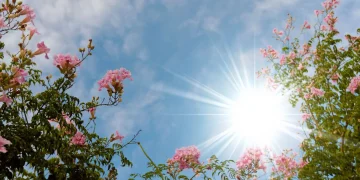 El Indomet prevé ambiente de buen tiempo debido a poca humedad 