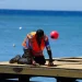 Inician labores de mantenimiento del muelle turístico y pesquero de Palenque