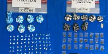 Confiscan más de medio millón de gramos de drogas, armas y vehículos en 215 allanamientos