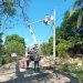 Edesur rehabilitó redes en la comunidad Semana Santa, San Cristóbal con una inversión de RD$3,261,694.94