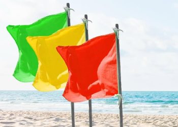 ¡Atención! Verde, amarillo y rojo: ¿Qué significan los colores de estás banderas en la playa?