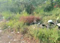 Policía Nacional aclara hallazgo de un feto y desechos biológicos en sector de SDE