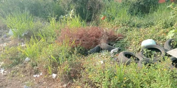 Policía Nacional aclara hallazgo de un feto y desechos biológicos en sector de SDE