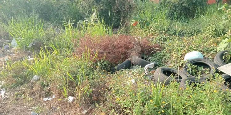 Policía Nacional aclara hallazgo de un feto y desechos biológicos en sector de SDE