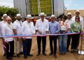 Inician exportación de uvas de mesa a EE.UU: Un Hito en la agroindustria nacional
