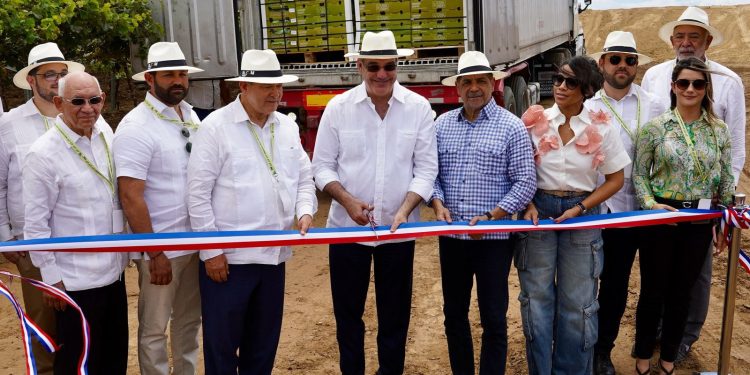 Inician exportación de uvas de mesa a EE.UU: Un Hito en la agroindustria nacional