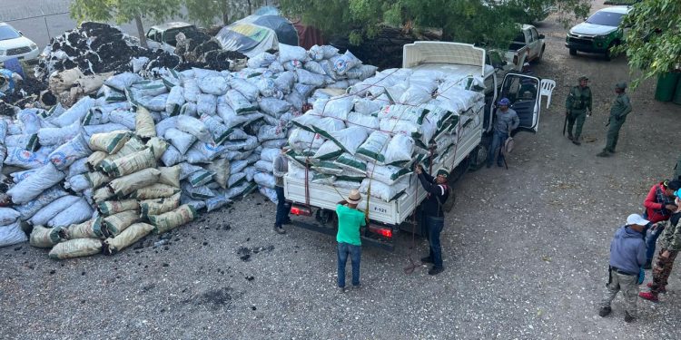 Senpa y Medio Ambiente incautan 950 sacos de carbón en Azua