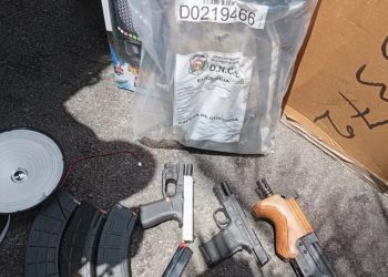 Incautan armas, municiones y marihuana en Puerto de Haina