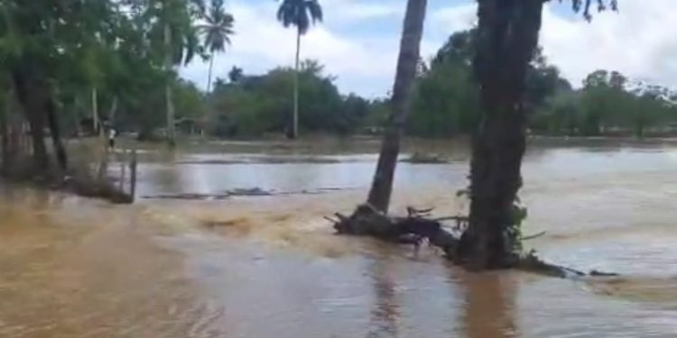 Lluvias provocan crecida de ríos en varias comunidades de Gaspar Hernández