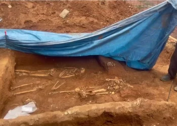 Descubren osamentas humanas en excavaciones de la Ciudad Colonial