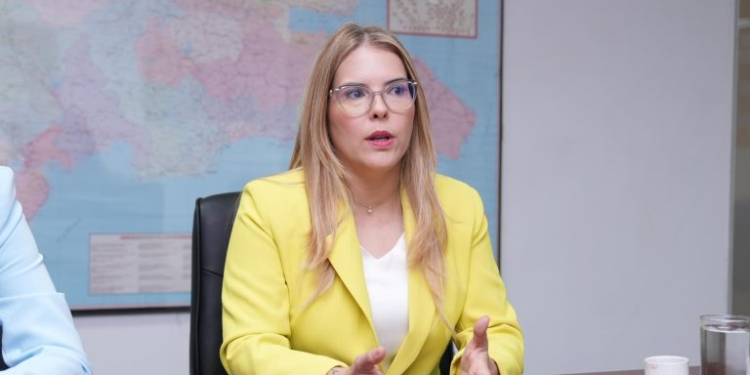 Diputada Carmen Ligia Barceló: Carolina Mejía es la mejor del PRM