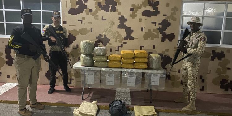 CESFRONT y DNCD decomisan 135 libras de un vegetal que se presume es marihuana