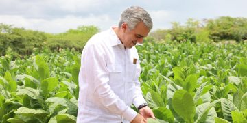 Tabaco dominicano llega a 148 países informó Intabaco