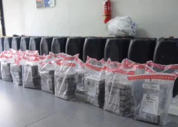 Incautan 1,200 gramos de cocaína y otras sustancias durante operativos en Barahona